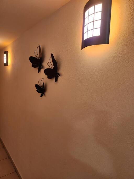 アカプルコDepartamento De Lujo. Seguridad 24. Playa A Pasos.アパートメント エクステリア 写真